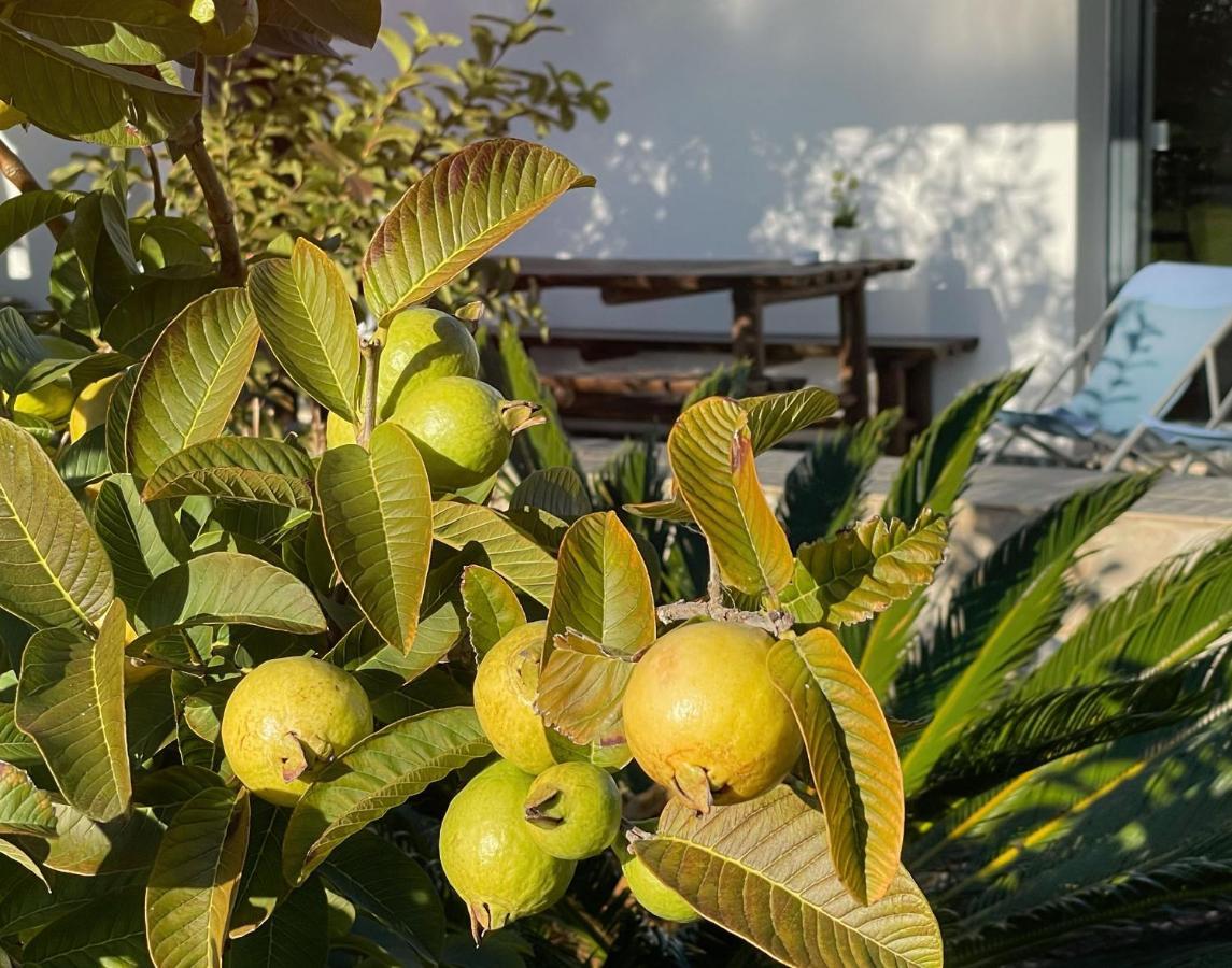Herdade Do Kuanza 赞布热拉-杜马尔 外观 照片
